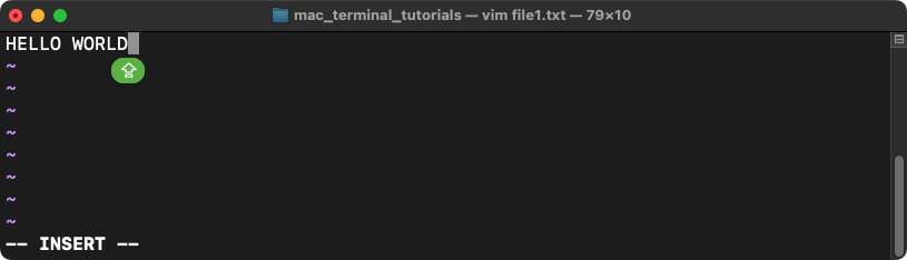 Create a New File in Mac Terminal - Using the vim Text Editor